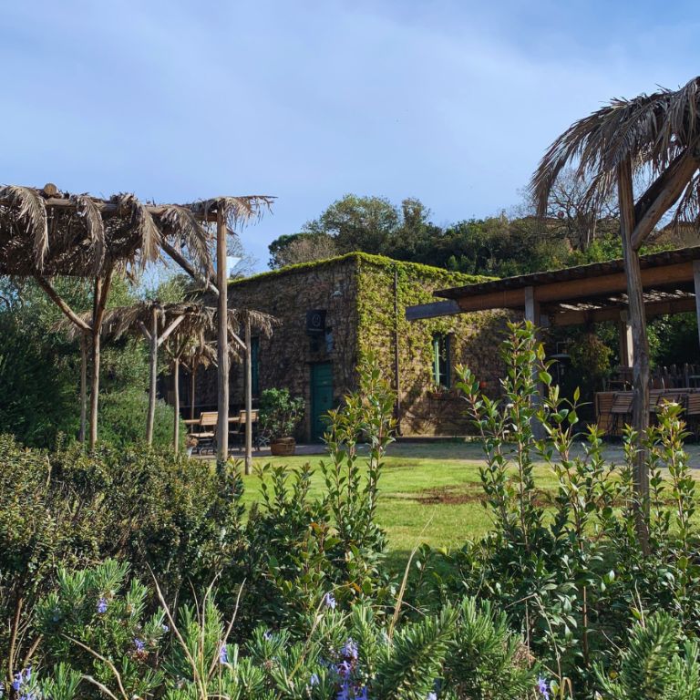 Agriturismo Wine Bar Aperitivo e Afterdinner Enoteca Ristorante Steakhouse Birreria Gastronomia Paninoteca Trattoria Bottega Frank & Serafico Spergolaia