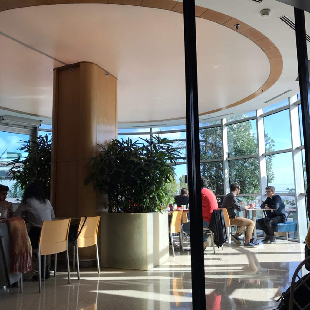 Fast Food mc donald Olivais