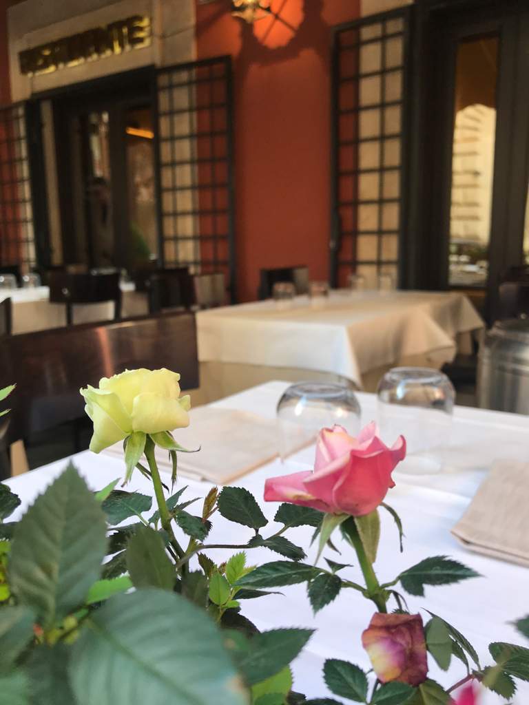 Restaurant Il Falchetto Sant' Eustachio