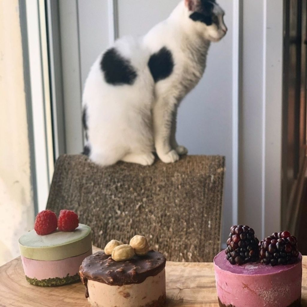Coffee Bar Bistro Romeow Cat Bistrot Ostiense