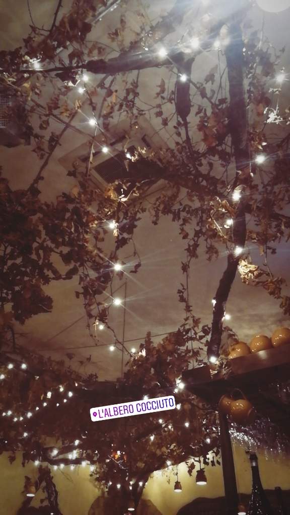 Pizzeria Pausa pranzo L'Albero Cocciuto Cinecittà