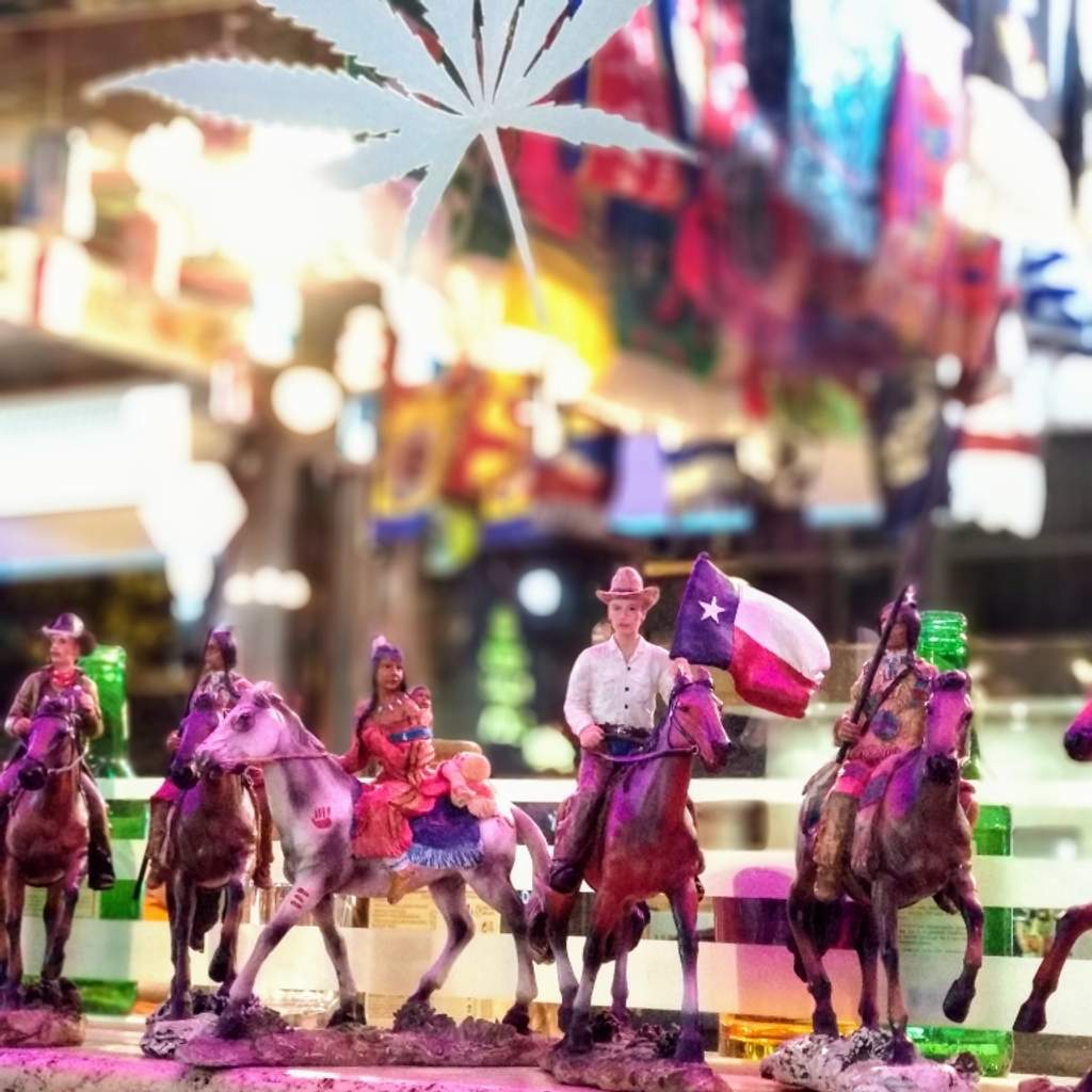 Pizza place Restaurant Ristorante Taverna Wolf Alba Adriatica