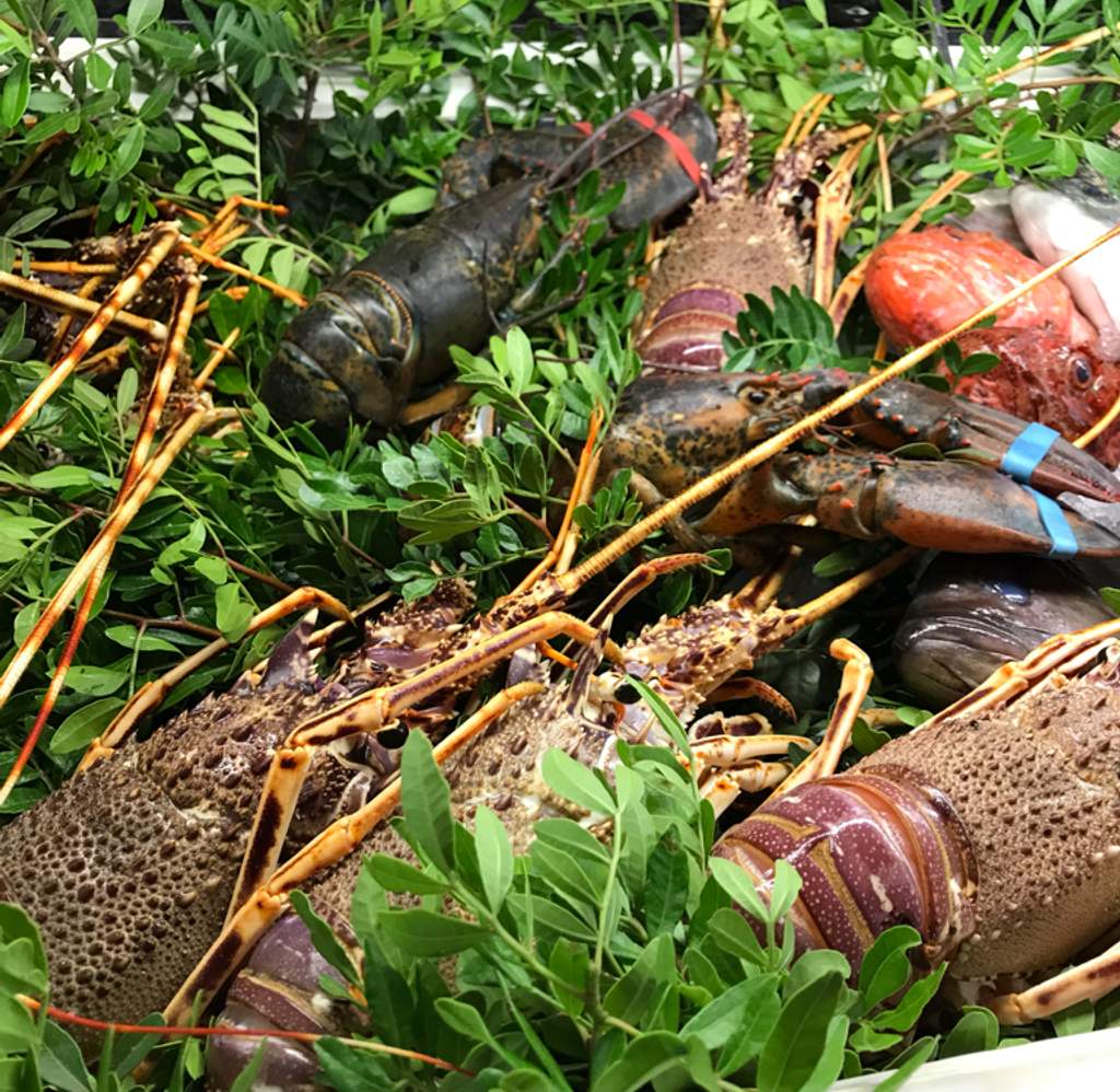 Da Barbara Ristorante Solanas | foodiestrip.com