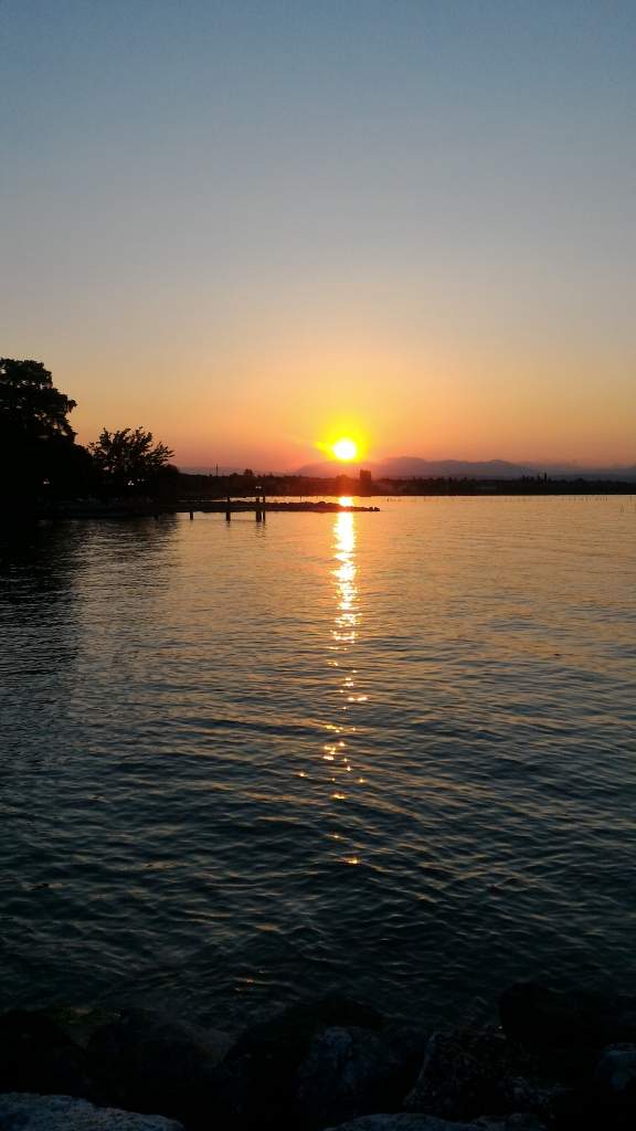 Dessert and Pastry Shop Happy Hour & After-dinner Diner La Fenice Palazzo