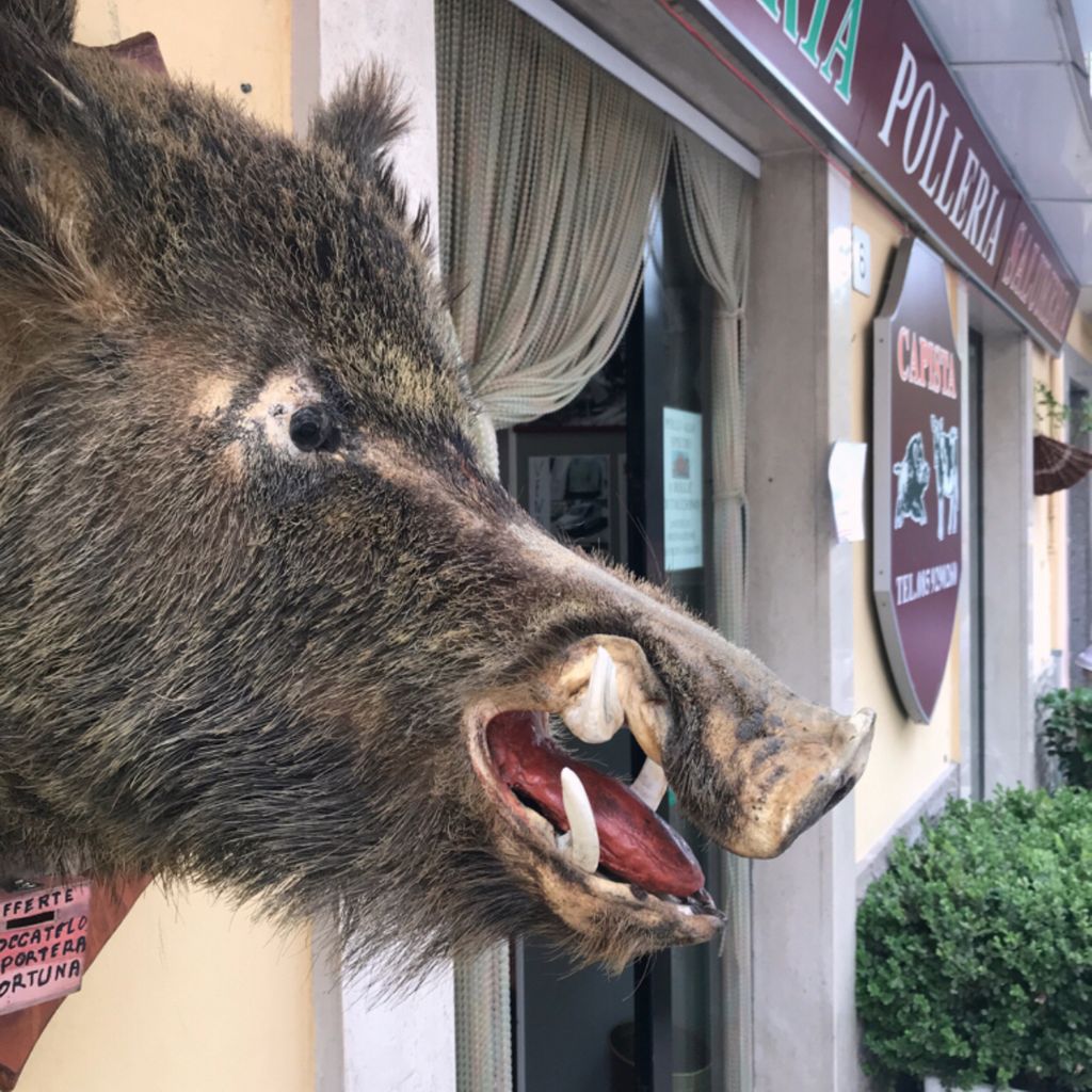 Grocery shop Capista Caramanico Terme