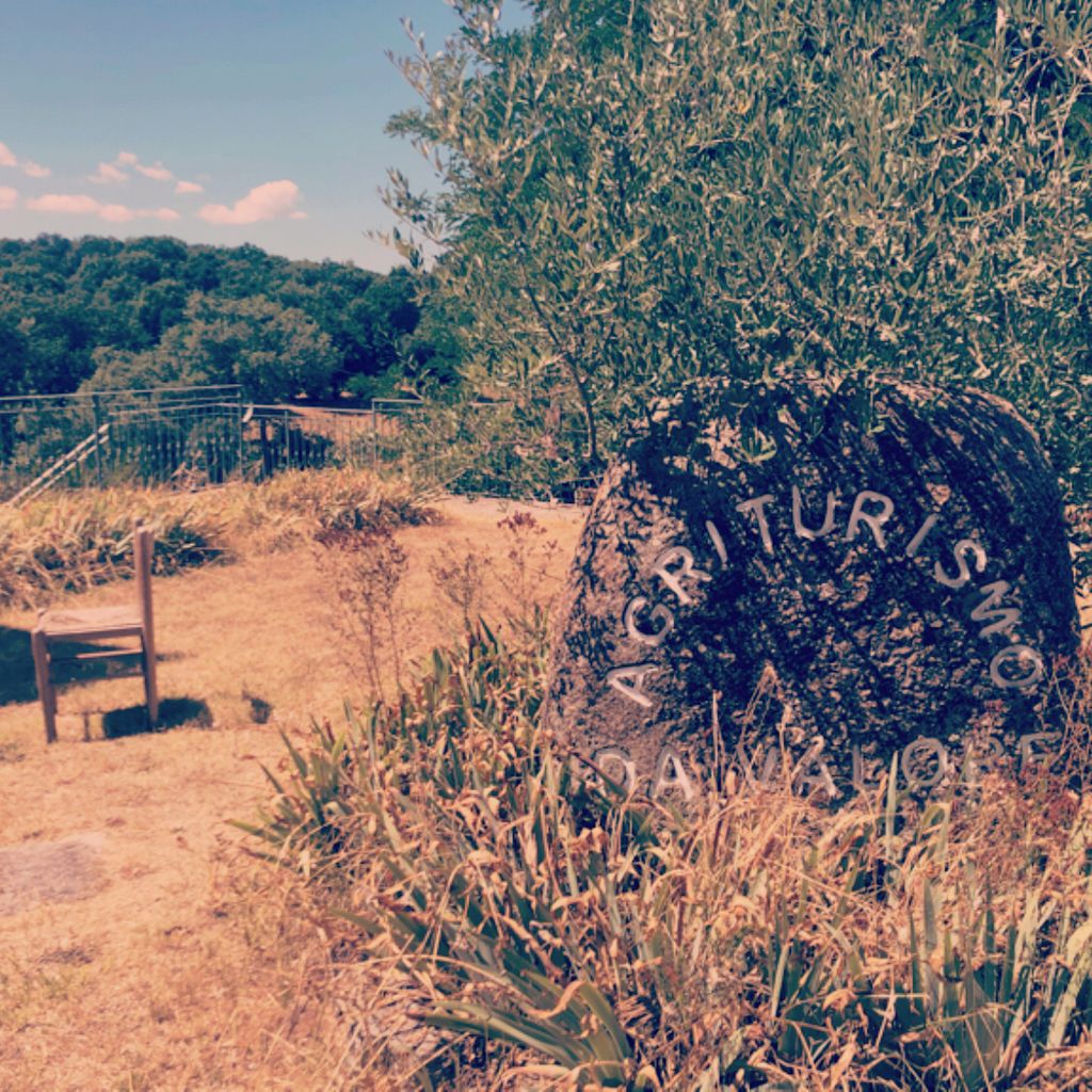 Farmhouse Agriturismo da Valore Austis