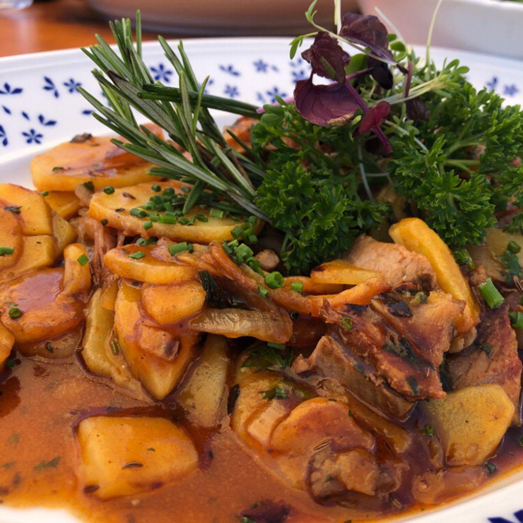 Restaurant Restaurant la finestra Semperbau