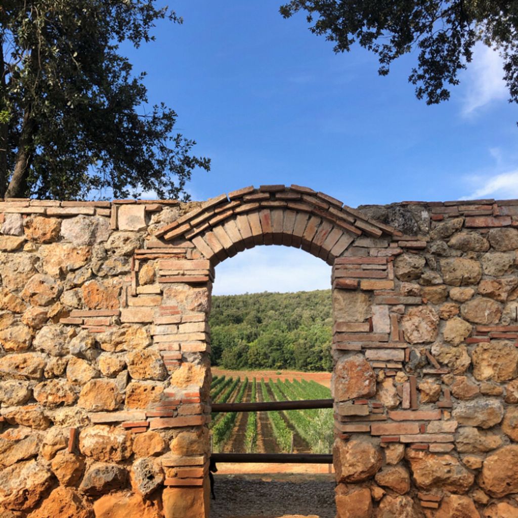 Agriturismo La Tenuta di Castelvecchio San Donato